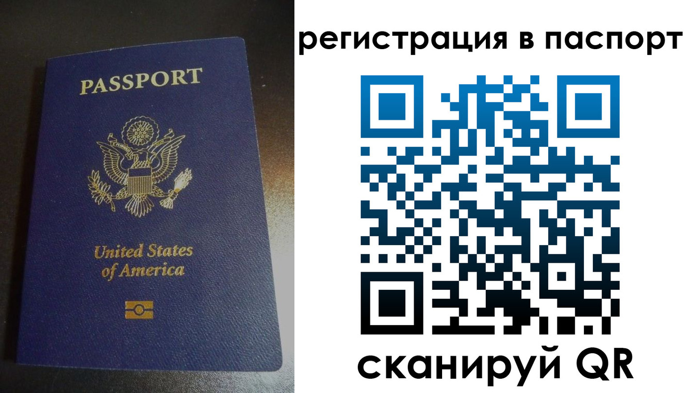 прописка для школы в Мурино
